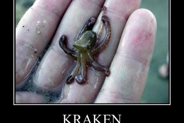 Кракен сайт что это