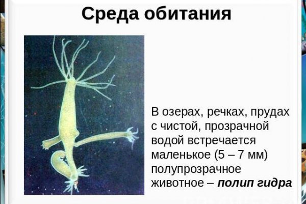 Кракен ссылка официальная на тор