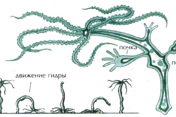 Kraken официальные зеркала