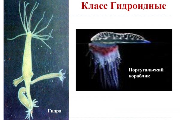 Кракен даркнет что известно