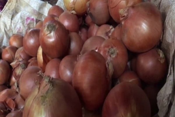 Оригинальные ссылки кракена