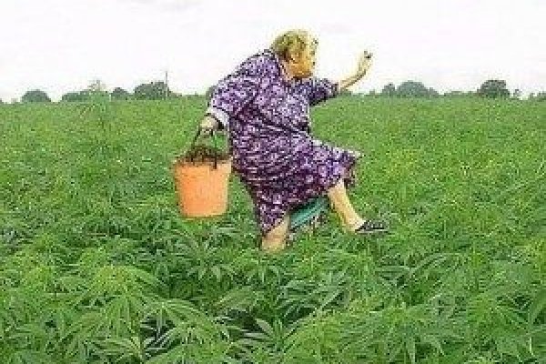 Кракен площадка нарко