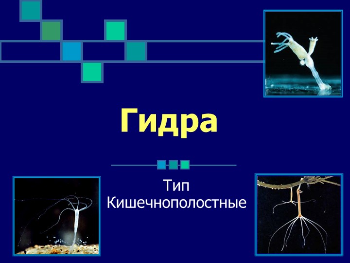 Кракен актуальная ссылка на сегодня