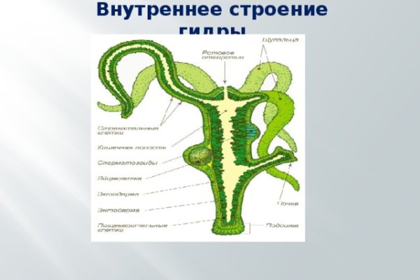 Кракен пишет пользователь не найден