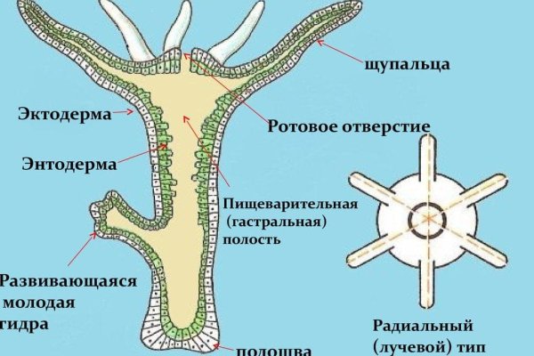 Кракен наркошоп