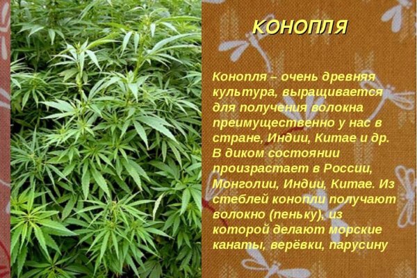2krn x