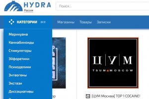 Ссылка на кракена для тора